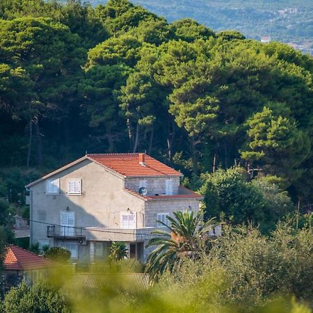 Apartments & Rooms Tapera Dubrovník Exteriér fotografie
